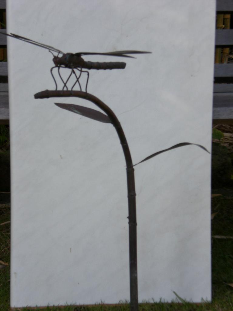 Libelle auf Pflanzenstengel (klein)