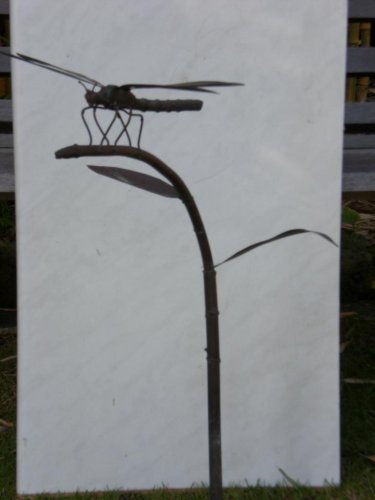 Libelle auf Pflanzenstengel (klein)